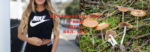 метадон Абаза
