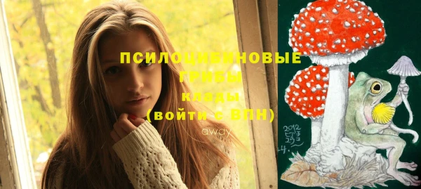ешки Няндома