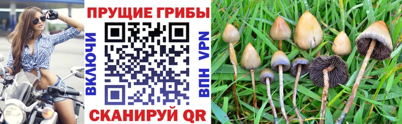 Псилоцибиновые грибы ЛСД  мориарти официальный сайт  Тетюши 